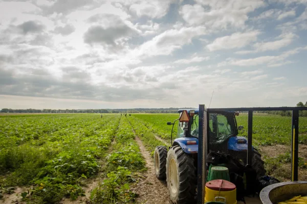 The Growing Reliance on the H-2A Visa Program in American Agriculture