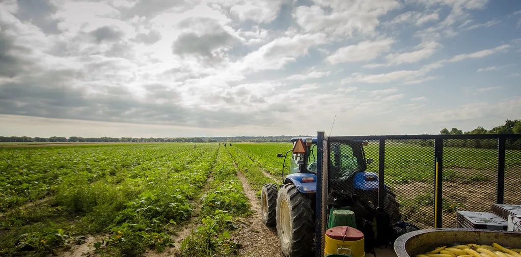 The Growing Reliance on the H-2A Visa Program in American Agriculture