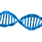 The Hidden Value of 23andMe: Beyond DNA and Into Behavioral Data