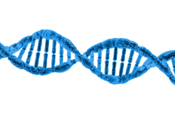 The Hidden Value of 23andMe: Beyond DNA and Into Behavioral Data