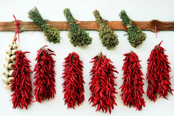 Trade Tensions Rise as China Rejects Indian Chilli Shipments Over Pesticide Residue