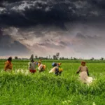 Western Disturbances Offset Monsoon Deficit in North-West India