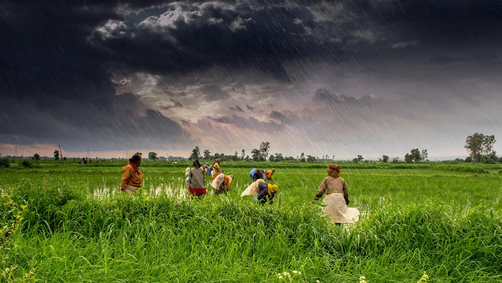 Western Disturbances Offset Monsoon Deficit in North-West India