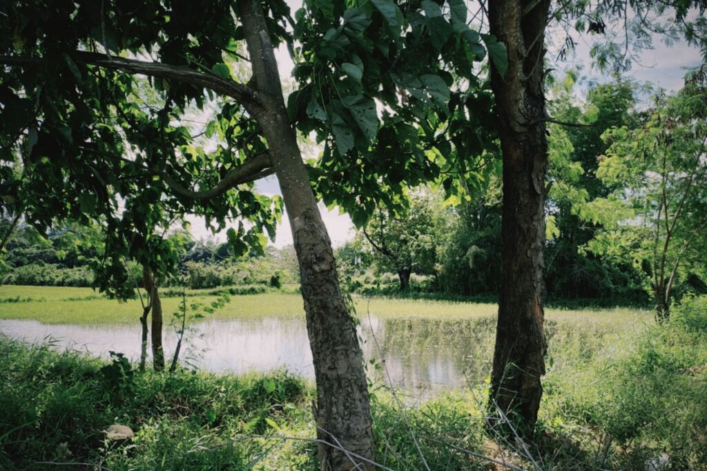 Zoho CEO Sridhar Vembu Launches Ambitious Lake Restoration Project in Tamil Nadu