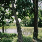 Zoho CEO Sridhar Vembu Launches Ambitious Lake Restoration Project in Tamil Nadu