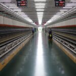 China's Manufacturing Sector Records Strongest Quarterly Performance Since 2020