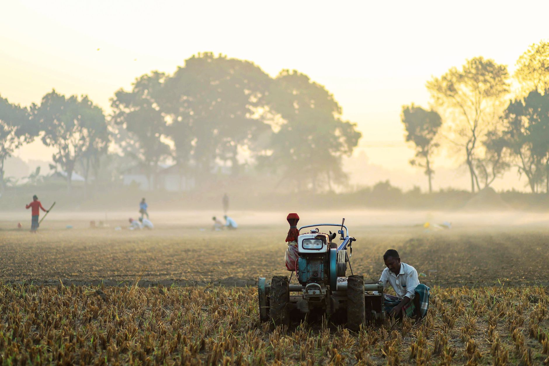 India Updates Rural Wage Floors as Haryana and Goa Lead National Growth