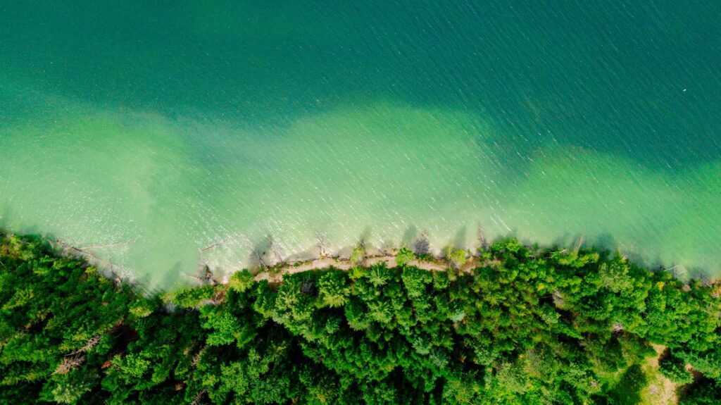 Navigating IRS Scrutiny: How Wealthy Landowners Can Safely Utilize Conservation Easements