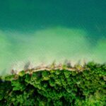 Navigating IRS Scrutiny: How Wealthy Landowners Can Safely Utilize Conservation Easements