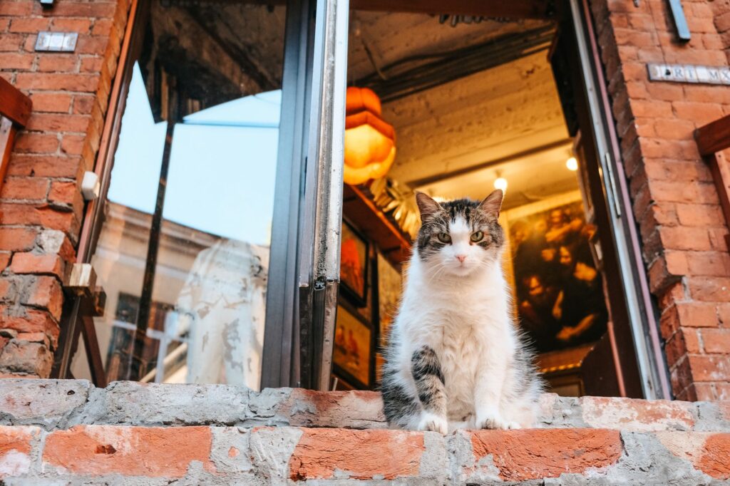 PetSmart to Close Sole San Francisco Location as Digital Shopping Reshapes Pet Retail