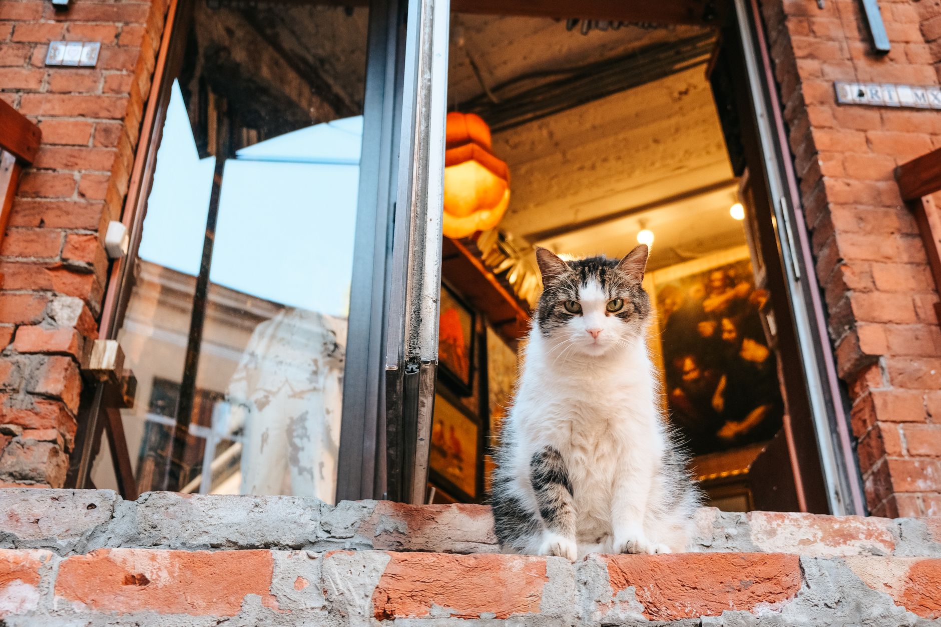 PetSmart to Close Sole San Francisco Location as Digital Shopping Reshapes Pet Retail