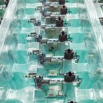 South Korea's Export Surge Driven by AI Semiconductor Demand