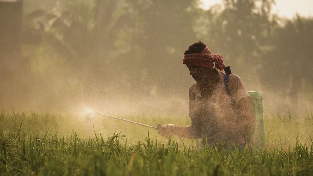 Suzuki's Next Bharat Ventures Unveils ₹2,000 Crore Fund to Fuel Rural Entrepreneurship