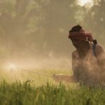 Suzuki's Next Bharat Ventures Unveils ₹2,000 Crore Fund to Fuel Rural Entrepreneurship