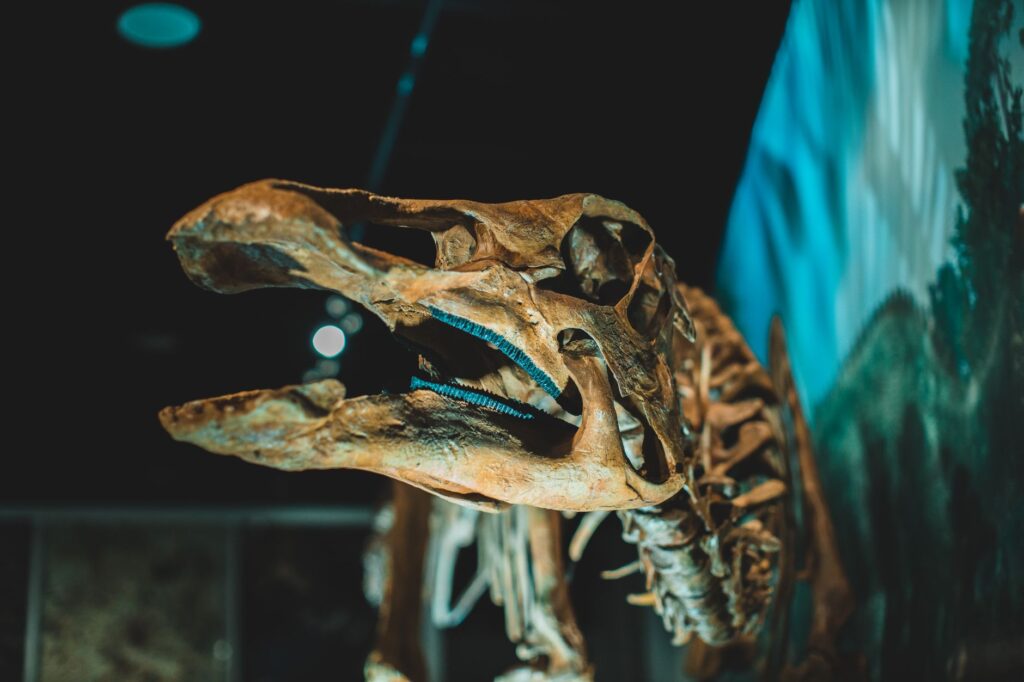 T. Rex Fossil Smashes Records with Historic $50 Million Auction Sale
