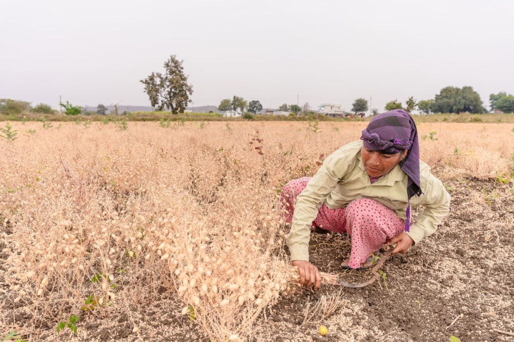 The Hidden Reality of India's Rising Female Workforce Participation