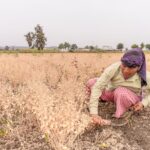 The Hidden Reality of India's Rising Female Workforce Participation