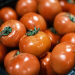 Tomato Prices Surge 16% Amid Weather-Induced Supply Shortages