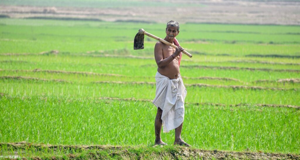 S&P Warns of El Niño Price Shocks Threatening Indian Households and APAC Economies