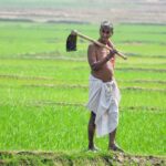 S&P Warns of El Niño Price Shocks Threatening Indian Households and APAC Economies