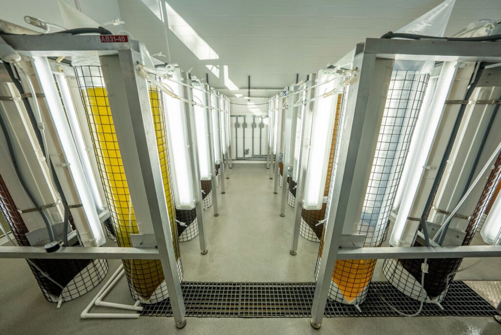 Industrial lab setup with tubular structures and containers illuminated by bright lights.