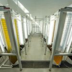 Industrial lab setup with tubular structures and containers illuminated by bright lights.