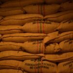 Rows of coffee bean sacks from Federación Nacional de Cafeteros in a Colombian warehouse