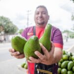 Man holding avocados at a street market in Sucre, Colombia. Tropical fruit sales in urban setting.
