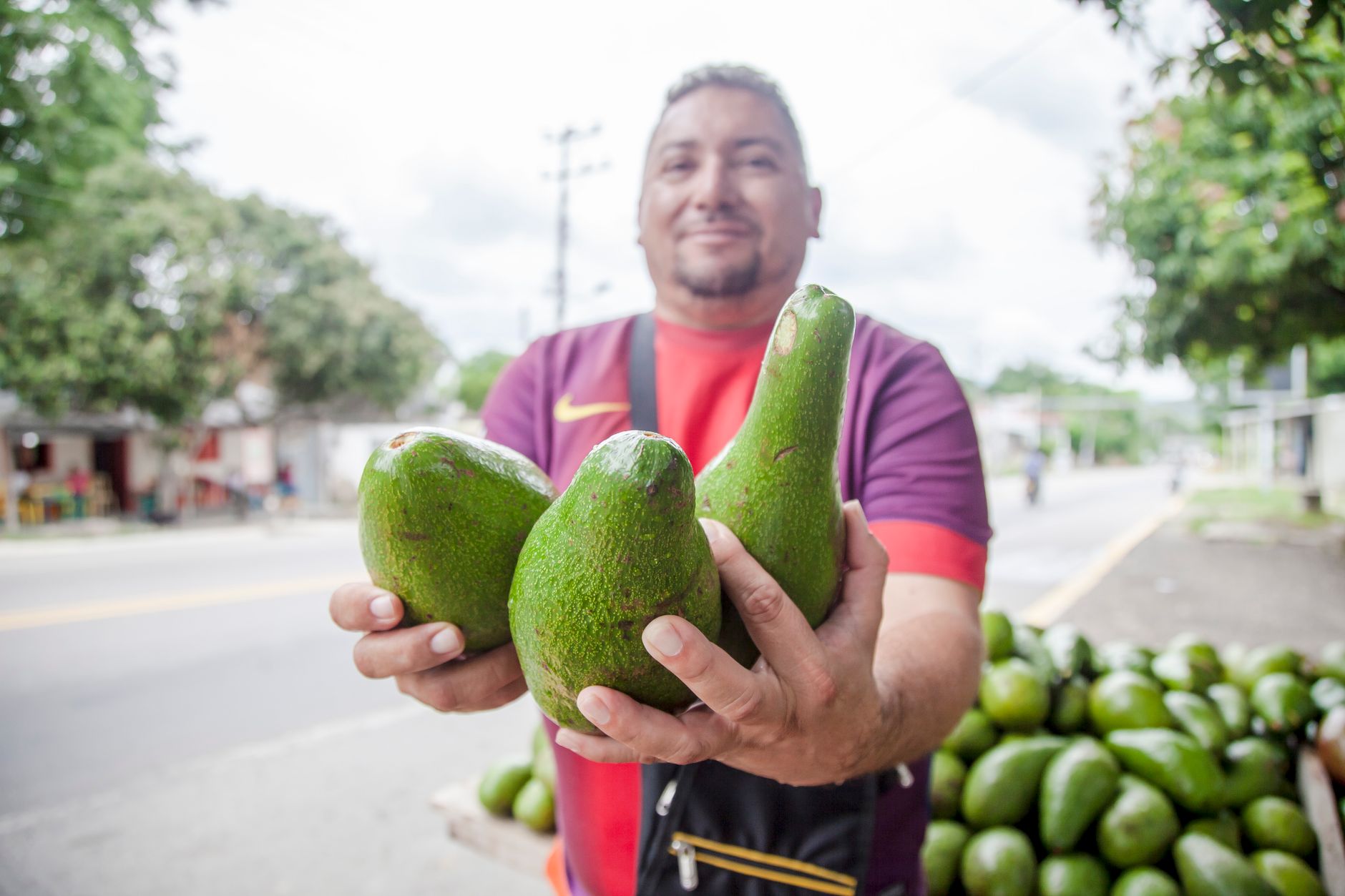 Man holding avocados at a street market in Sucre, Colombia. Tropical fruit sales in urban setting.
