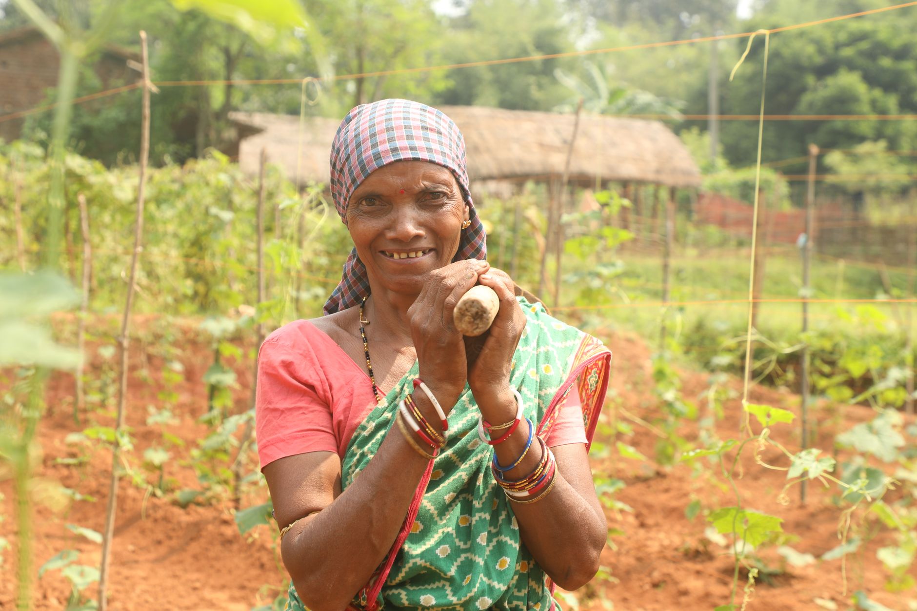 Elderly woman farmer smiling in a vibrant countryside garden with green crops.