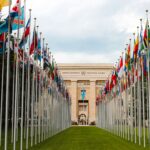 From below of various flags on flagpoles located in green park in front of entrance to the UN headquarters in Geneva