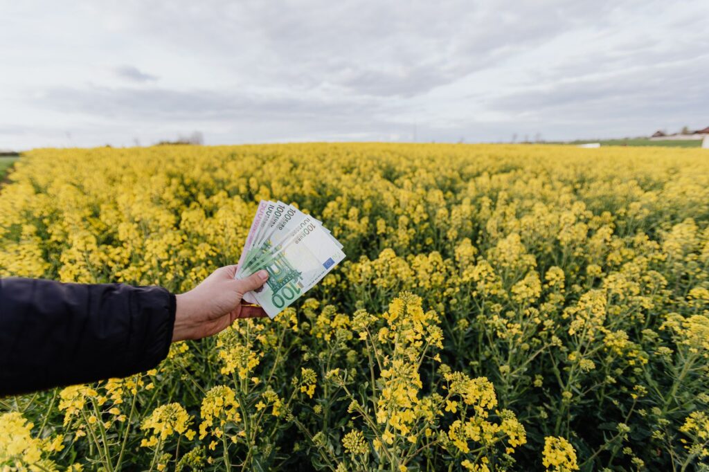 Unrecognizable male holding Russian bills while standing on blossom field during trip on countryside on daytime