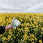 Unrecognizable male holding Russian bills while standing on blossom field during trip on countryside on daytime