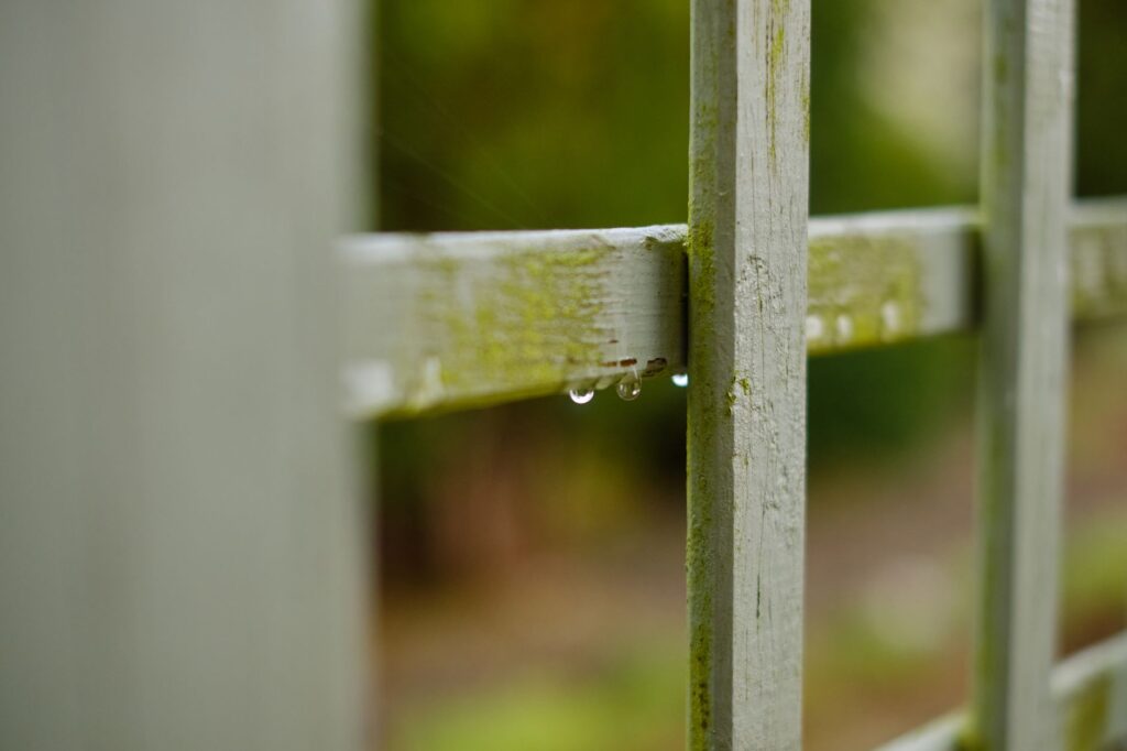 Close-up of a moss-covered wooden fence with raindrops in Greystoke, England.
