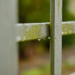 Close-up of a moss-covered wooden fence with raindrops in Greystoke, England.
