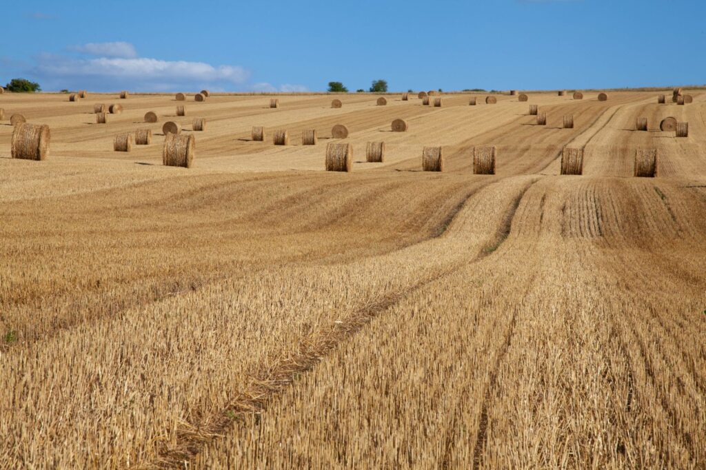 Rolling landscapes of hay bales in La Roche-Guyon, France during fall.