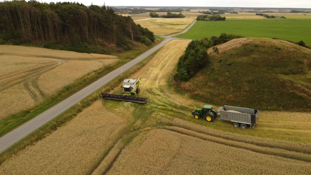 Aerial view of a combine and tractor harvesting a wheat field in Lemvig, Denmark.