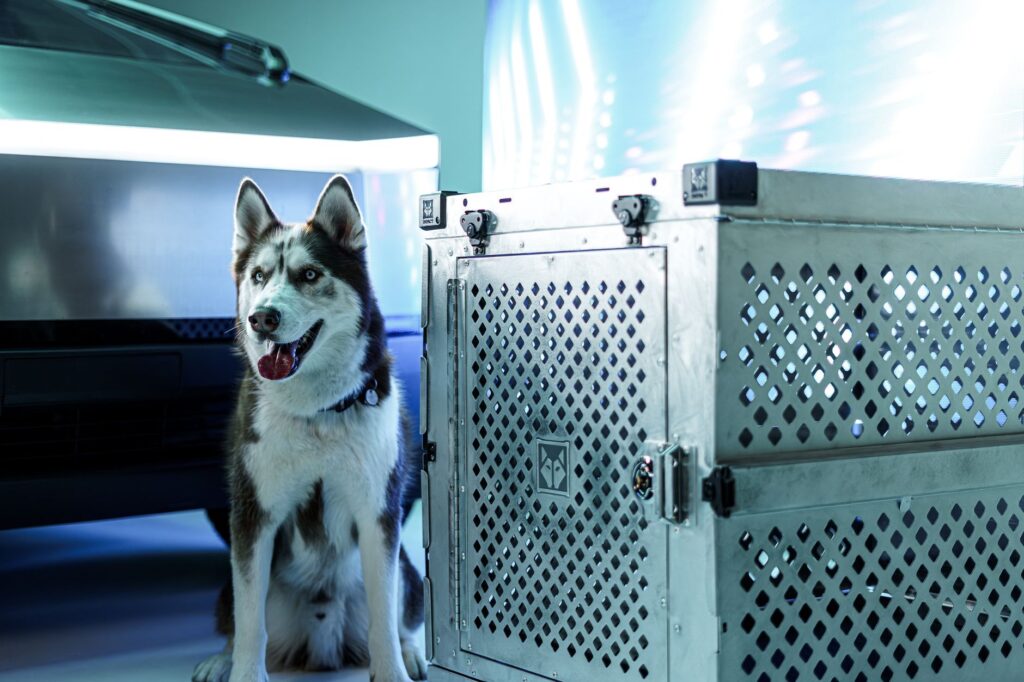 A Siberian husky beside a sleek dog crate and a futuristic vehicle in a studio setting.