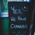 Lettering written on black chalkboard with cannabis offer near house on street of city