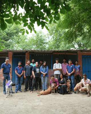 Zigly Foundation's Community Feeding Initiative Crosses 5,000 Kg Mark, Reaching Dogs Across Shelters and Communities